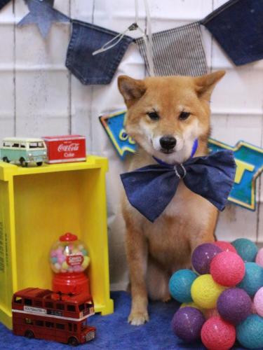 20230416リンちゃん